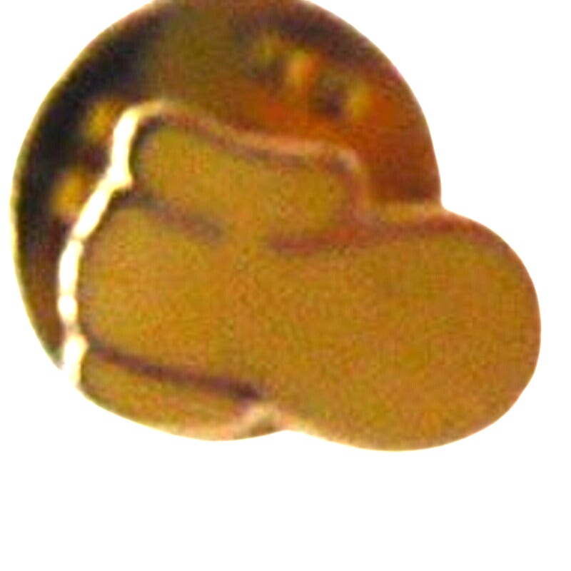WDW - Mickey Shoe - Mickey Body Parts