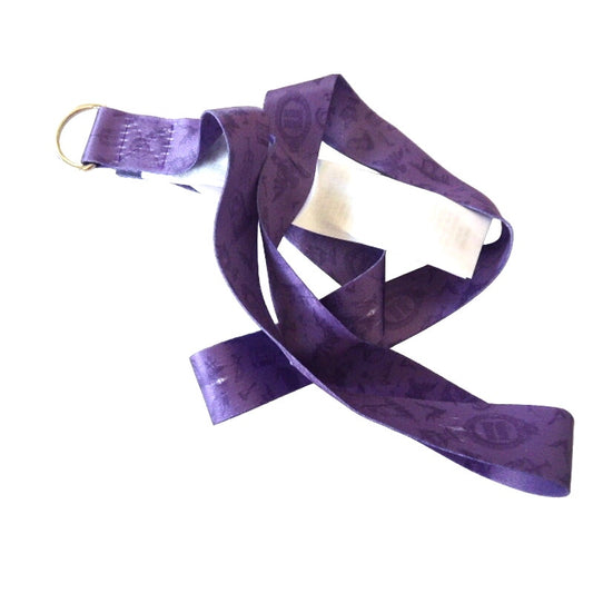 Lanyard Haunted Mansion Ghost Host