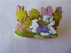Disney Trading Pins 69125     JDS - Daisy Duck - Daisies - Flowers of Japan - March